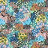 Lupita Bleu Lupita Bleu